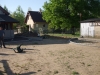 dscf3187
